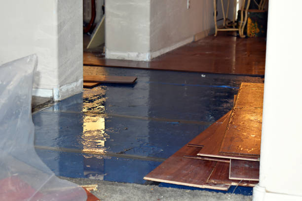 Professional Water Damage Restoration technician working in Forest Hill, TX